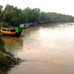 Boats for Bhitarkanika 2